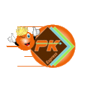 PKexpress Damigny