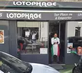 Lotophage Bordeaux