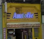 Anatolie Lille
