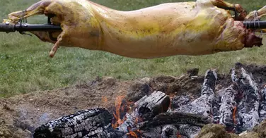 Réflexion sur le kebab : Souvenirs carnés